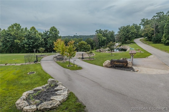 370 Tuscany Dr, Camdenton, MO 65020 - photo 50