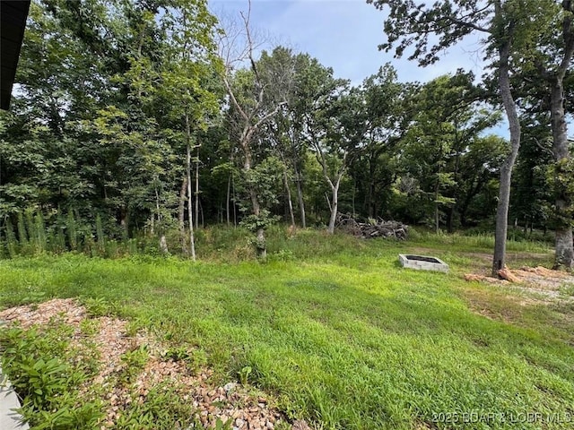 1835 Deans Creek Rd, Richland, MO 65556 - photo 26