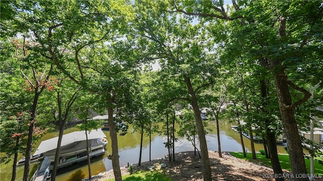 1880 Palisades Dr, Four Seasons, MO 65049 - photo 43