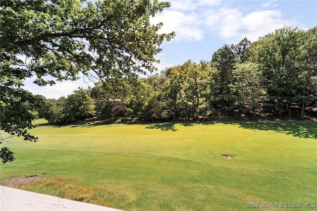 424 Duenke Dr, Osage Beach, MO 65065 - photo 23