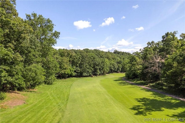 424 Duenke Dr, Osage Beach, MO 65065 - photo 27