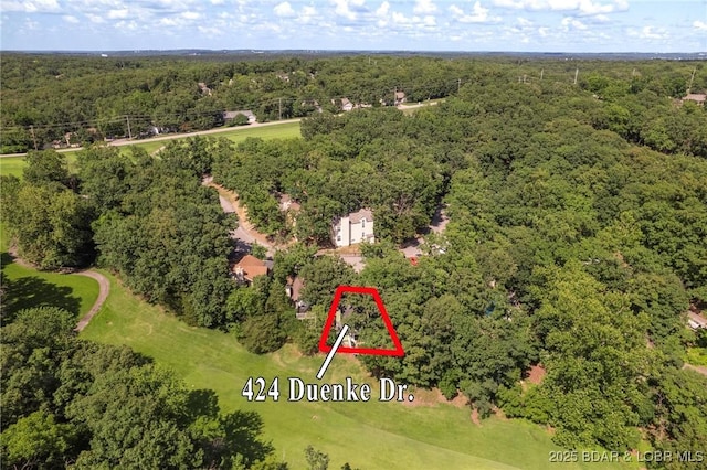 424 Duenke Dr, Osage Beach, MO 65065 - photo 28