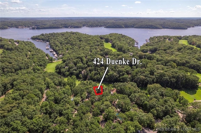 424 Duenke Dr, Osage Beach, MO 65065 - photo 29
