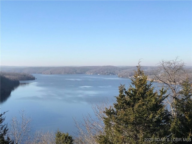 TBD Cozy Rd, Gravois Mills, MO 65038 - photo 2