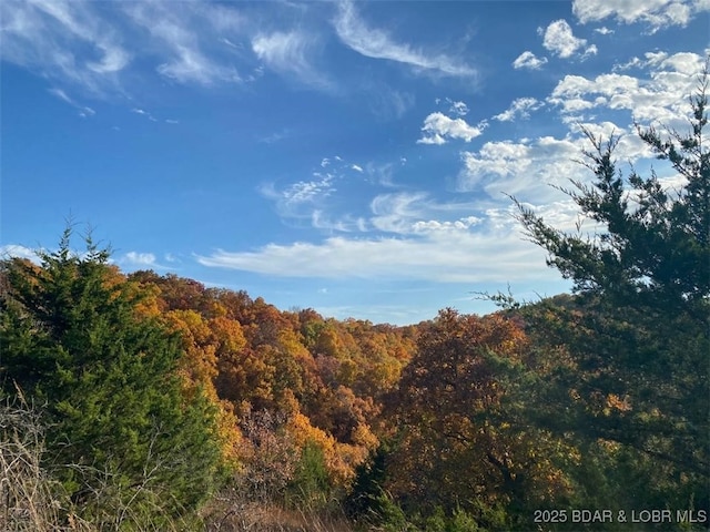 TBD Cozy Rd, Gravois Mills, MO 65038 - photo 3