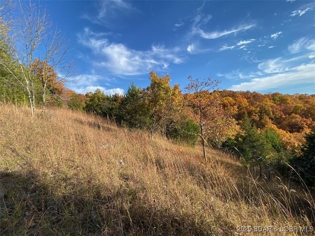 TBD Cozy Rd, Gravois Mills, MO 65038 - photo 4