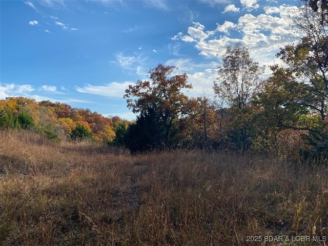 TBD Cozy Rd, Gravois Mills, MO 65038 - photo 7
