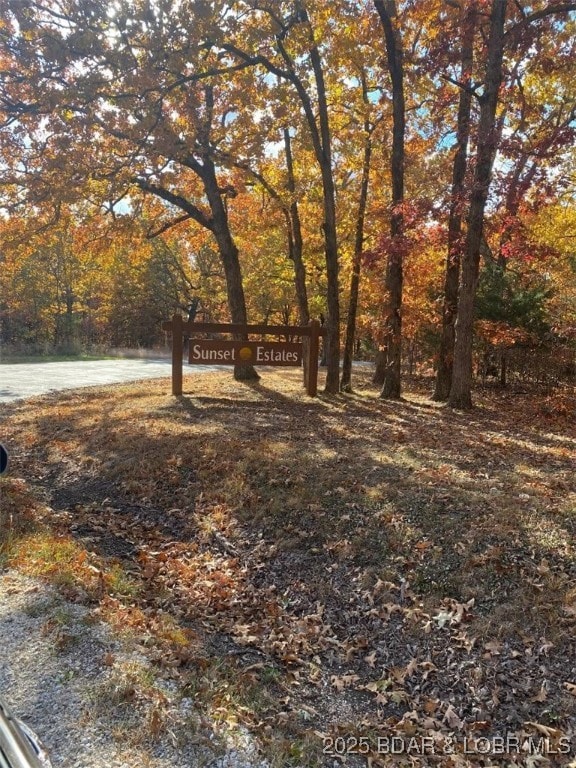 TBD Cozy Rd, Gravois Mills, MO 65038 - photo 8