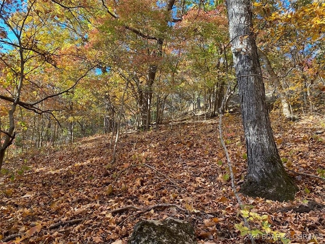 TBD Cozy Rd, Gravois Mills, MO 65038 - photo 14