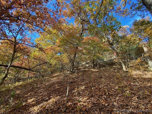 TBD Cozy Rd, Gravois Mills, MO 65038 - photo 15