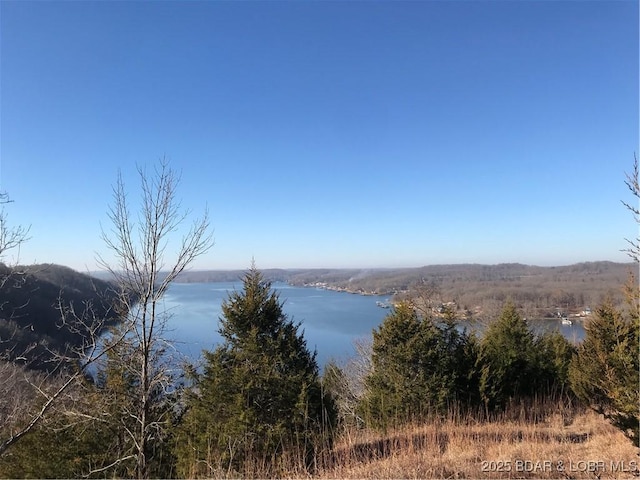 TBD Cozy Rd, Gravois Mills, MO 65038 - photo 17