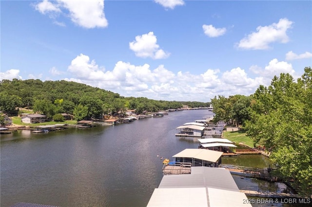 299 Sparkling Water Cir, Sunrise Beach, MO 65079 - photo 41