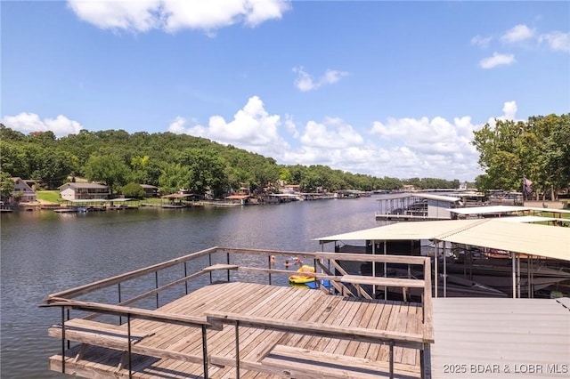 299 Sparkling Water Cir, Sunrise Beach, MO 65079 - photo 42