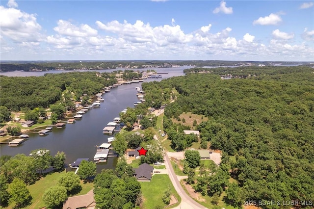 299 Sparkling Water Cir, Sunrise Beach, MO 65079 - photo 45
