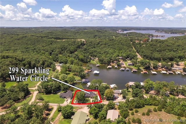299 Sparkling Water Cir, Sunrise Beach, MO 65079 - photo 46