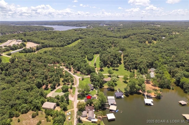 299 Sparkling Water Cir, Sunrise Beach, MO 65079 - photo 47