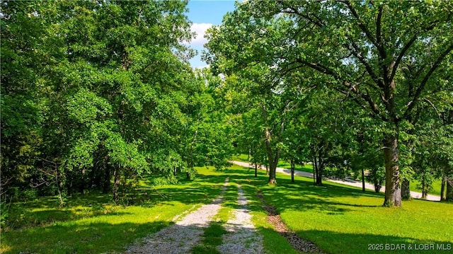 2083 Business Park Rd, Linn Creek, MO 65052 - photo 47