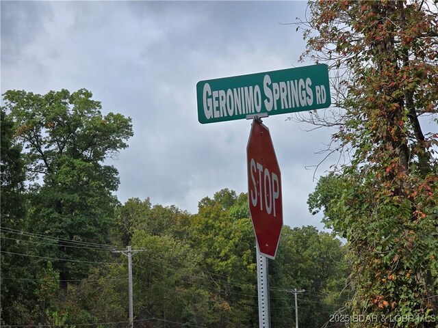 TBDTRACT4 Geronimo Springs Rd, Macks Creek, MO 65786 - photo 2