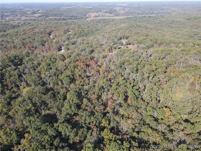 TBDTRACT4 Geronimo Springs Rd, Macks Creek, MO 65786 - photo 5