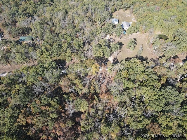 TBDTRACT4 Geronimo Springs Rd, Macks Creek, MO 65786 - photo 6