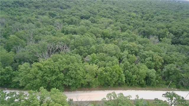 TBDTRACT4 Geronimo Springs Rd, Macks Creek, MO 65786 - photo 7