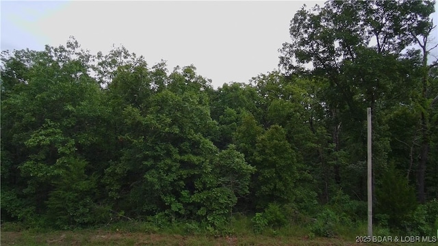 TBDTRACT4 Geronimo Springs Rd, Macks Creek, MO 65786 - photo 9