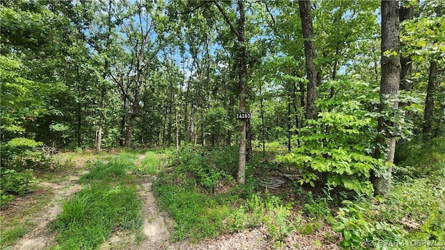 24303 Valley View Ln, Barnett, MO 65011 - photo 2
