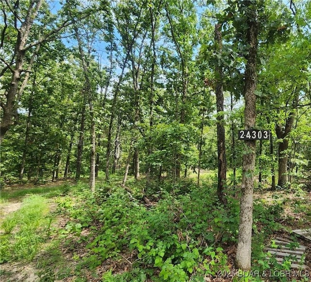 24303 Valley View Ln, Barnett, MO 65011 - photo 1