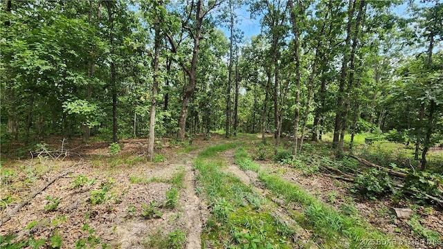 24303 Valley View Ln, Barnett, MO 65011 - photo 4