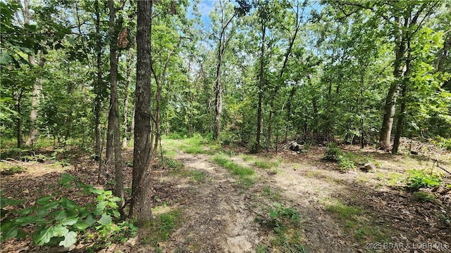24303 Valley View Ln, Barnett, MO 65011 - photo 5