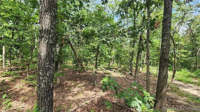 24303 Valley View Ln, Barnett, MO 65011 - photo 6