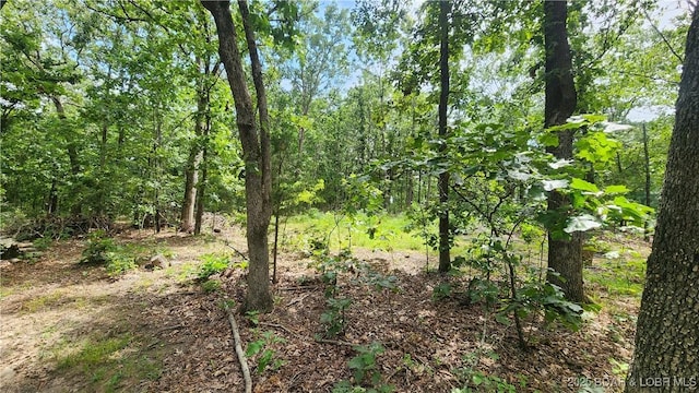 24303 Valley View Ln, Barnett, MO 65011 - photo 7