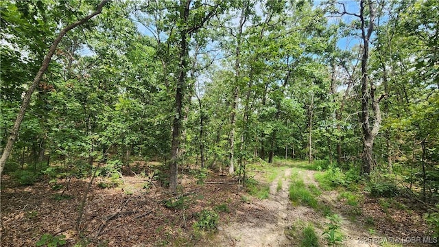 24303 Valley View Ln, Barnett, MO 65011 - photo 9