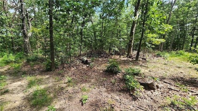24303 Valley View Ln, Barnett, MO 65011 - photo 10
