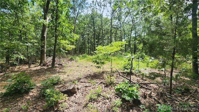 24303 Valley View Ln, Barnett, MO 65011 - photo 11