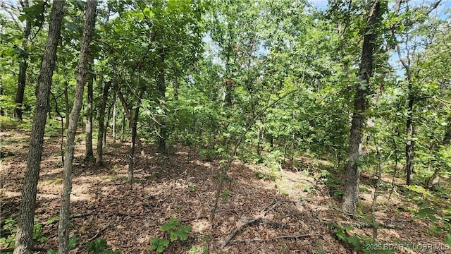 24303 Valley View Ln, Barnett, MO 65011 - photo 12