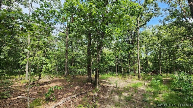 24303 Valley View Ln, Barnett, MO 65011 - photo 13