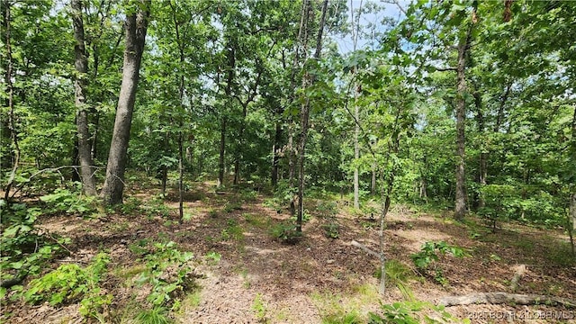 24303 Valley View Ln, Barnett, MO 65011 - photo 14