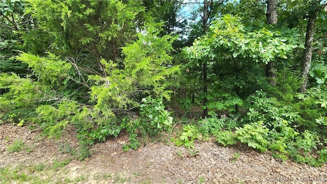 24303 Valley View Ln, Barnett, MO 65011 - photo 15