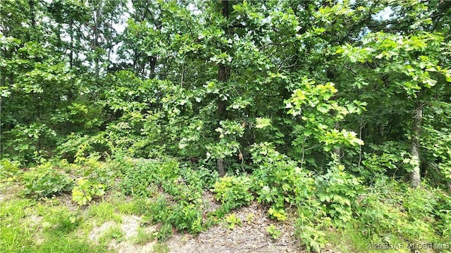24303 Valley View Ln, Barnett, MO 65011 - photo 16