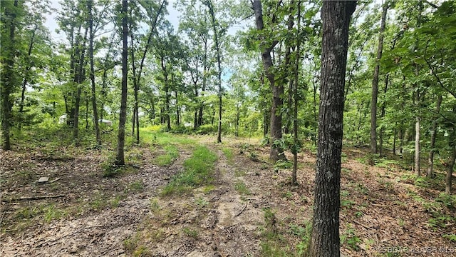 24303 Valley View Ln, Barnett, MO 65011 - photo 18