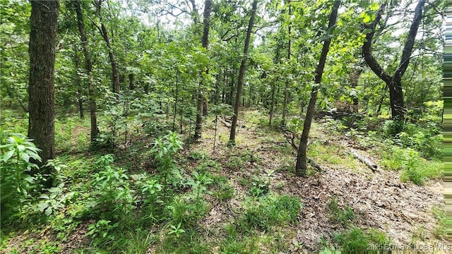 24303 Valley View Ln, Barnett, MO 65011 - photo 19