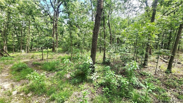 24303 Valley View Ln, Barnett, MO 65011 - photo 20