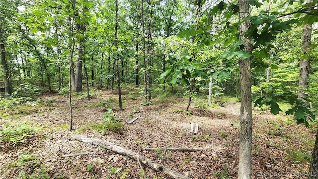 24303 Valley View Ln, Barnett, MO 65011 - photo 21