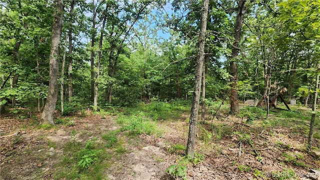 24303 Valley View Ln, Barnett, MO 65011 - photo 22