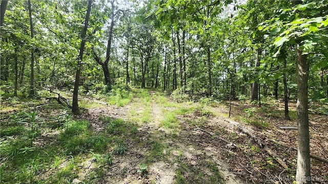 24303 Valley View Ln, Barnett, MO 65011 - photo 23