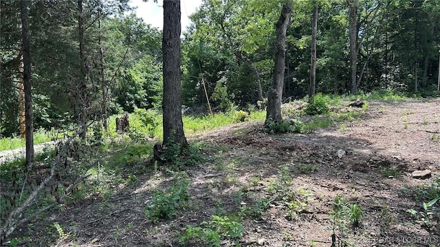 27403 Great House Ln, Lincoln, MO 65338 - photo 1