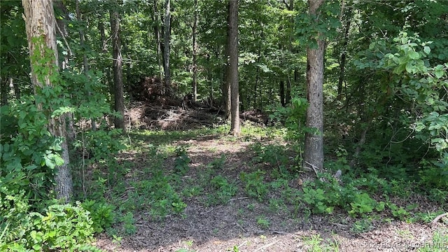 27403 Great House Ln, Lincoln, MO 65338 - photo 19
