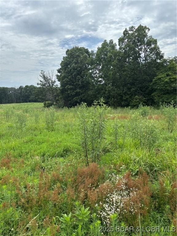Beechnut Rd, Stover, MO 65078 - photo 2