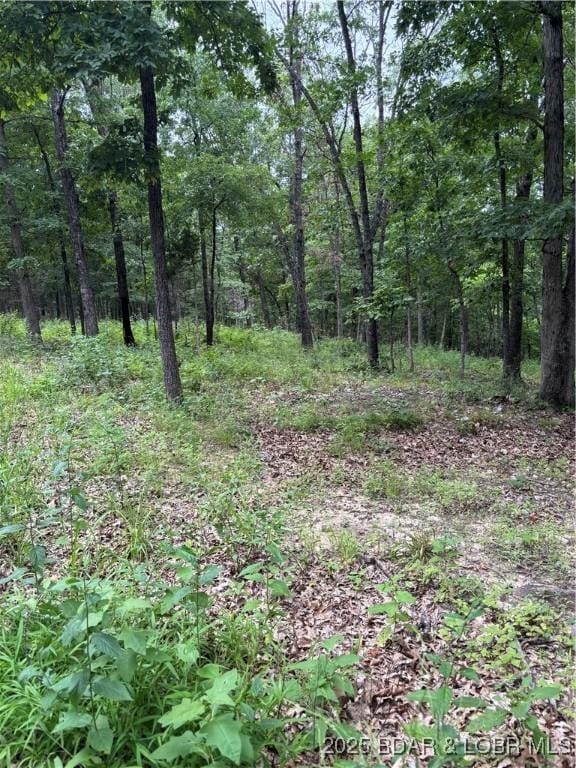 Beechnut Rd, Stover, MO 65078 - photo 3